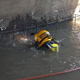 Diver Inspecting 