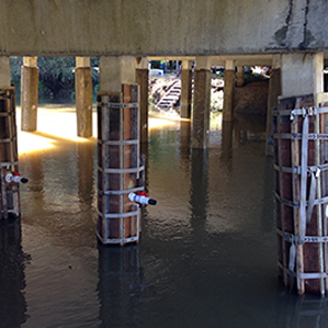 Bridges Being Encapsulated