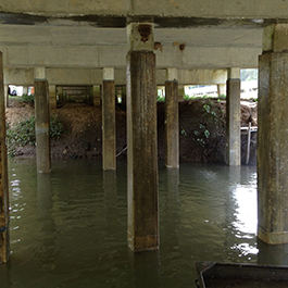 Bridge Underwater Encapsulation