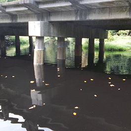 Underwater Bridge