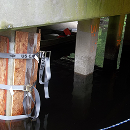 Diver Encapsulation