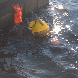 Spear Dive Divers In Water For Inspection