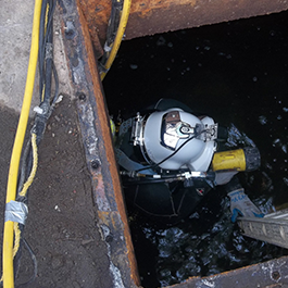 Inspection By A Diver