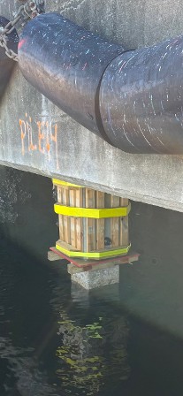 Jax Port